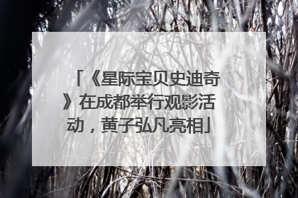 《星际宝贝史迪奇》在成都举行观影活动，黄子弘凡亮相