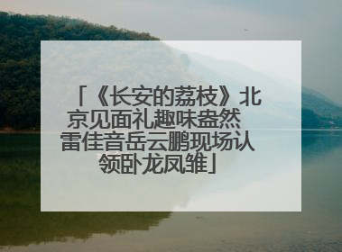 《长安的荔枝》北京见面礼趣味盎然 雷佳音岳云鹏现场认领卧龙凤雏