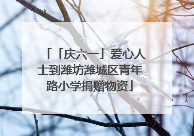 「庆六一」爱心人士到潍坊潍城区青年路小学捐赠物资