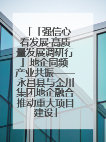 「强信心 看发展·高质量发展调研行」地企同频 产业共振——永昌县与金川集团地企融合推动重大项目建设
