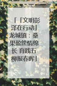 「文明彭泽在行动」龙城镇：桑果盈筐情绵长 育践五柳报春晖