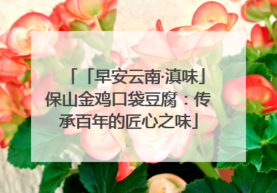 「早安云南·滇味」保山金鸡口袋豆腐：传承百年的匠心之味