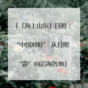 「海上山东」日照：“中国对虾” 从日照“游”向沿海各地