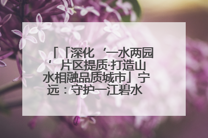 「深化‘一水两园’片区提质·打造山水相融品质城市」宁远：守护一江碧水 共享幸福河湖
