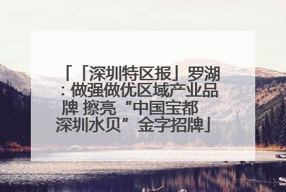 「深圳特区报」罗湖：做强做优区域产业品牌 擦亮“中国宝都 深圳水贝”金字招牌