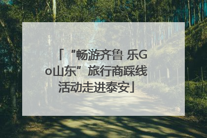 “畅游齐鲁 乐Go山东”旅行商踩线活动走进泰安