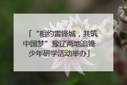 “相约雷锋城，共筑中国梦”豫辽两地追锋少年研学活动举办