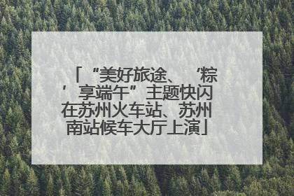 “美好旅途、‘粽’享端午”主题快闪在苏州火车站、苏州南站候车大厅上演