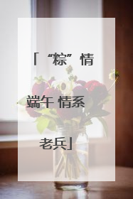 “粽”情端午 情系老兵