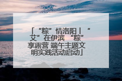 “粽”情洛阳丨“艾”在伊滨 “粽”享露营 端午主题文明实践活动启动