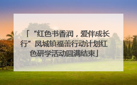 “红色书香润，爱伴成长行”凤城镇福蕾行动计划红色研学活动圆满结束