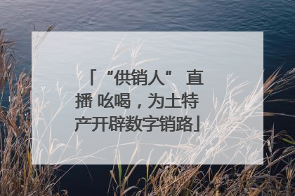 “供销人” 直播 吆喝，为土特产开辟数字销路