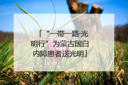 “一带一路·光明行”为蒙古国白内障患者送光明