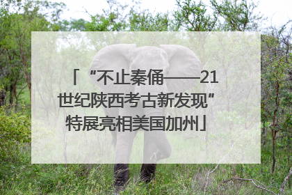 “不止秦俑——21世纪陕西考古新发现”特展亮相美国加州