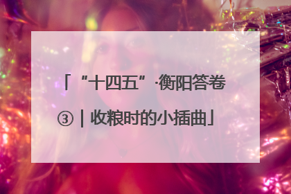 “十四五”·衡阳答卷③｜收粮时的小插曲