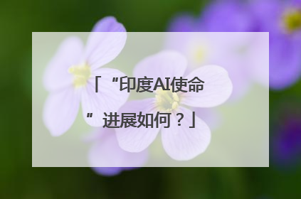 “印度AI使命”进展如何？