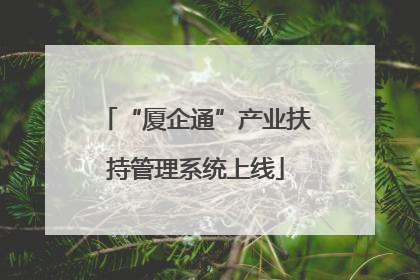 “厦企通”产业扶持管理系统上线
