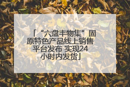 “六盘丰物集”固原特色产品线上销售平台发布 实现24小时内发货