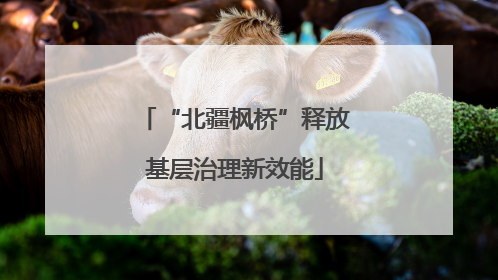 “北疆枫桥”释放基层治理新效能