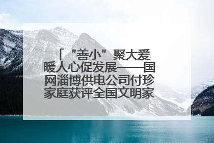 “善小”聚大爱 暖人心促发展——国网淄博供电公司付珍家庭获评全国文明家庭背后的文明密码