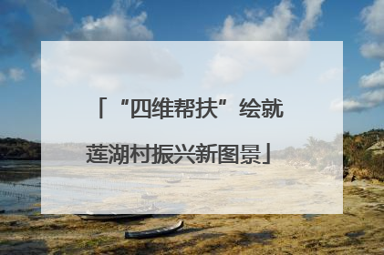 “四维帮扶”绘就莲湖村振兴新图景