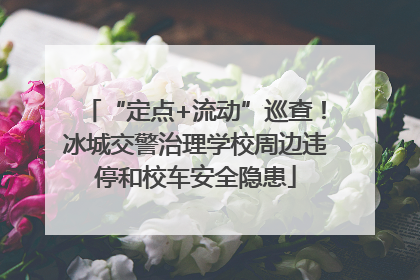 “定点+流动”巡查！冰城交警治理学校周边违停和校车安全隐患