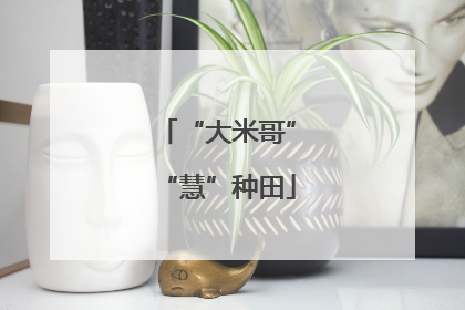 “大米哥”“慧”种田