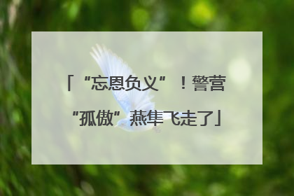 “忘恩负义”！警营“孤傲”燕隼飞走了