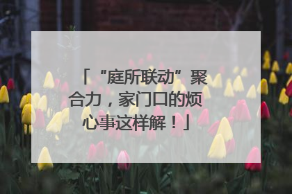 “庭所联动”聚合力，家门口的烦心事这样解！