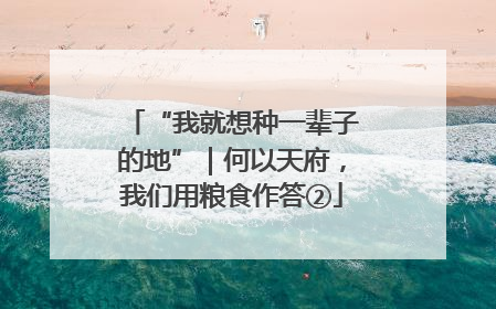 “我就想种一辈子的地”｜何以天府，我们用粮食作答②