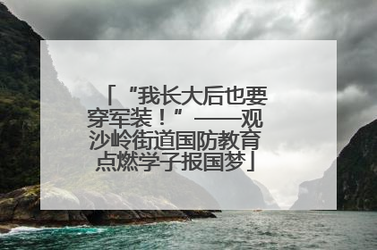 “我长大后也要穿军装！”——观沙岭街道国防教育点燃学子报国梦