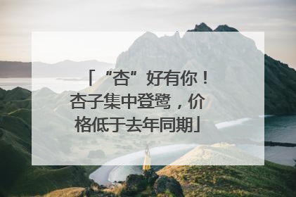 “杏”好有你！杏子集中登鹭，价格低于去年同期