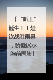 “新王”诞生！王楚钦战胜雨果，骄傲展示胸前国旗