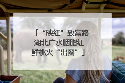 “映红”致富路 湖北广水胭脂红鲜桃火“出圈”