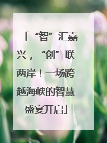 “智”汇嘉兴，“创”联两岸！一场跨越海峡的智慧盛宴开启
