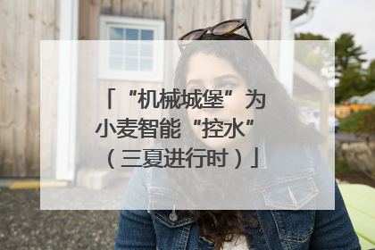 “机械城堡”为小麦智能“控水”（三夏进行时）