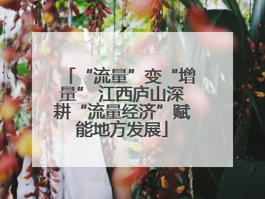 “流量”变“增量” 江西庐山深耕“流量经济”赋能地方发展
