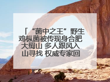“菌中之王”野生鸡枞菌被传现身合肥大蜀山 多人跟风入山寻找 权威专家回应市民三问
