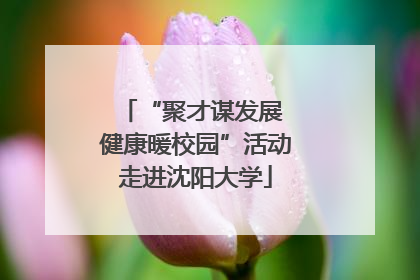 “聚才谋发展 健康暖校园”活动走进沈阳大学