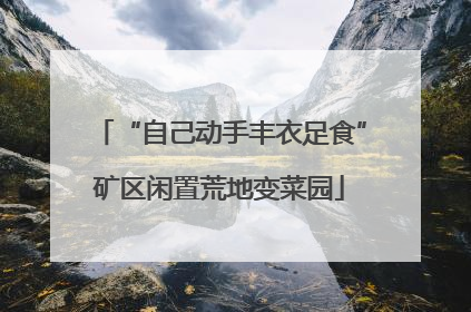 “自己动手丰衣足食”矿区闲置荒地变菜园