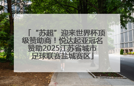 “苏超”迎来世界杯顶级赞助商！悦达起亚冠名赞助2025江苏省城市足球联赛盐城赛区