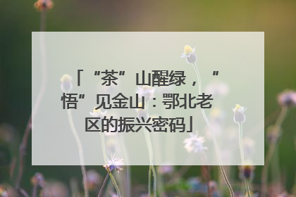 “茶”山醒绿，“悟”见金山：鄂北老区的振兴密码