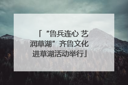 “鲁兵连心 艺润草湖”齐鲁文化进草湖活动举行