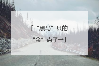“黑马”县的“金”点子→
