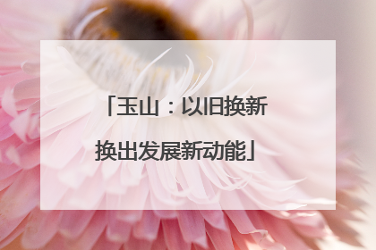玉山：以旧换新换出发展新动能