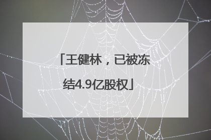 王健林，已被冻结4.9亿股权