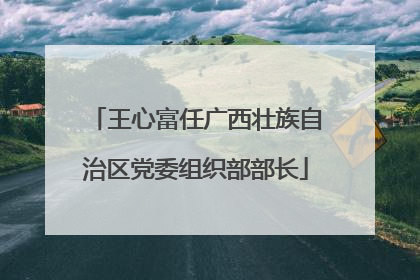 王心富任广西壮族自治区党委组织部部长