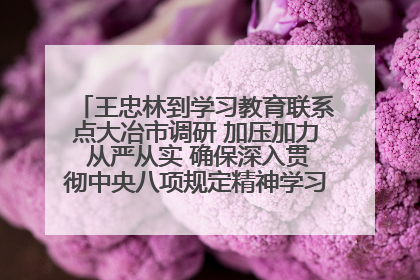 王忠林到学习教育联系点大冶市调研 加压加力 从严从实 确保深入贯彻中央八项规定精神学习教育取得实效