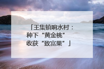 王集镇响水村：种下“黄金桃” 收获“致富果”