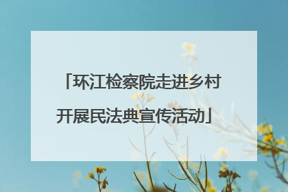 环江检察院走进乡村开展民法典宣传活动